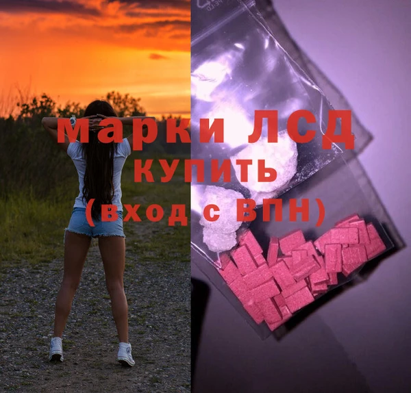 шишки Алзамай