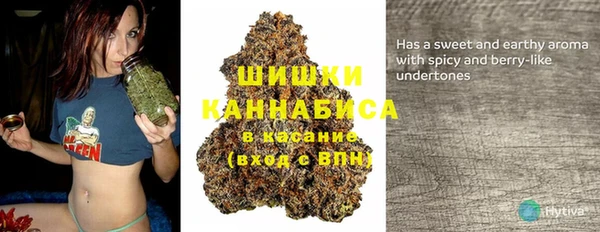 трава Абаза
