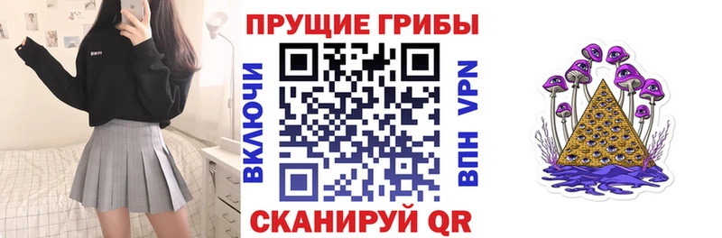 Псилоцибиновые грибы GOLDEN TEACHER  купить  цена  darknet состав  Ростов-на-Дону 