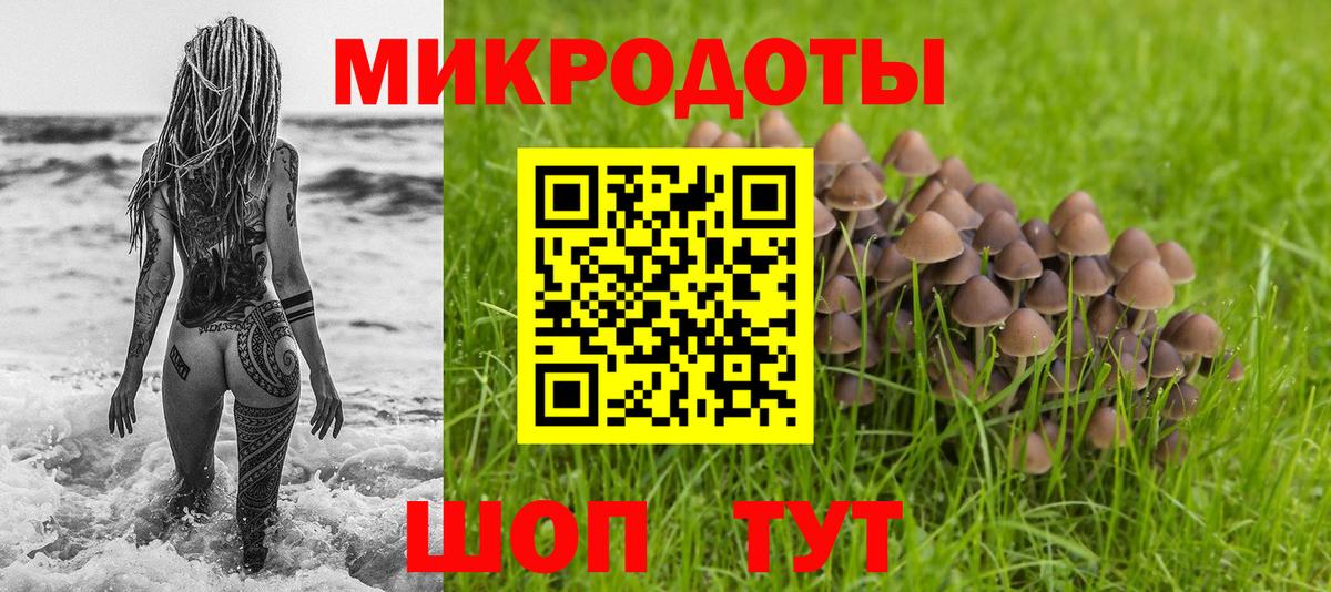 Галлюциногенные грибы Psilocybine cubensis Ростов-на-Дону