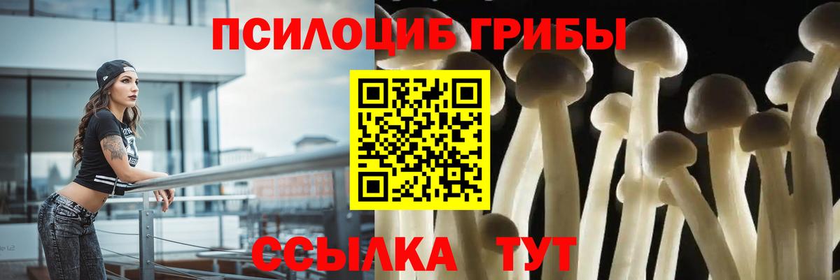 Ростов-на-Дону  Псилоцибиновые грибы Psilocybe  Вход с VPN  Псилоцибиновые грибы прущие грибы 